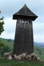 Zázrivá