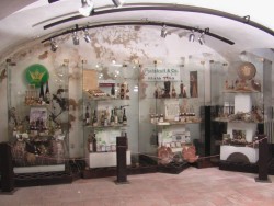 Vlastivedné múzeum - Trebišov