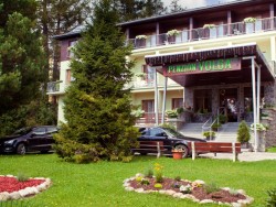 Pension VOLGA