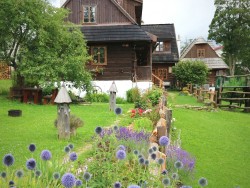 Penzion DREVENICA - Nízke Tatry - Šumiac  | 123ubytovanie.sk