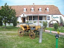 Hotel CARPATIA