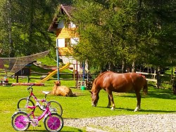 Hütte SMREK - Zamagurie - Pieniny - Jezersko | 123ubytovanie.sk