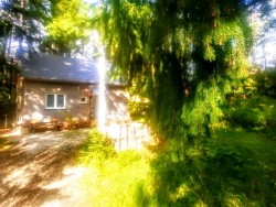 Hütte POD ZUBAČKOU - Vysoké Tatry - Tatranská Štrba | 123ubytovanie.sk