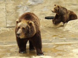 ZOO - Spišská Nová Ves | 123ubytovanie.sk