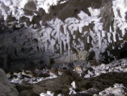 Plavecká jaskyňa - Plavecké Podhradie